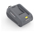 40V 4A Lithium Battery Charger, 40V DC Platform, Replacement Battery Charger DB2202