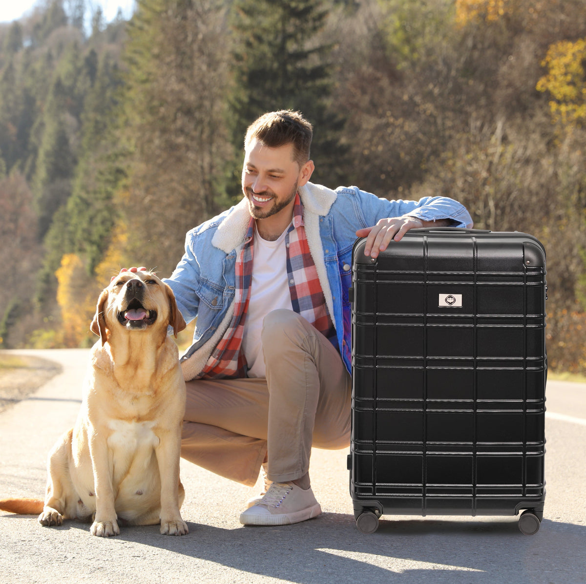 Luggage Sets ABS+PC Hardshell 4pcs Lightweight Durable Suitcases